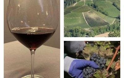 Translations for the world of wines